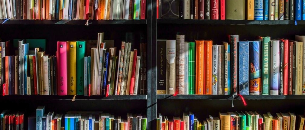 Archivo2